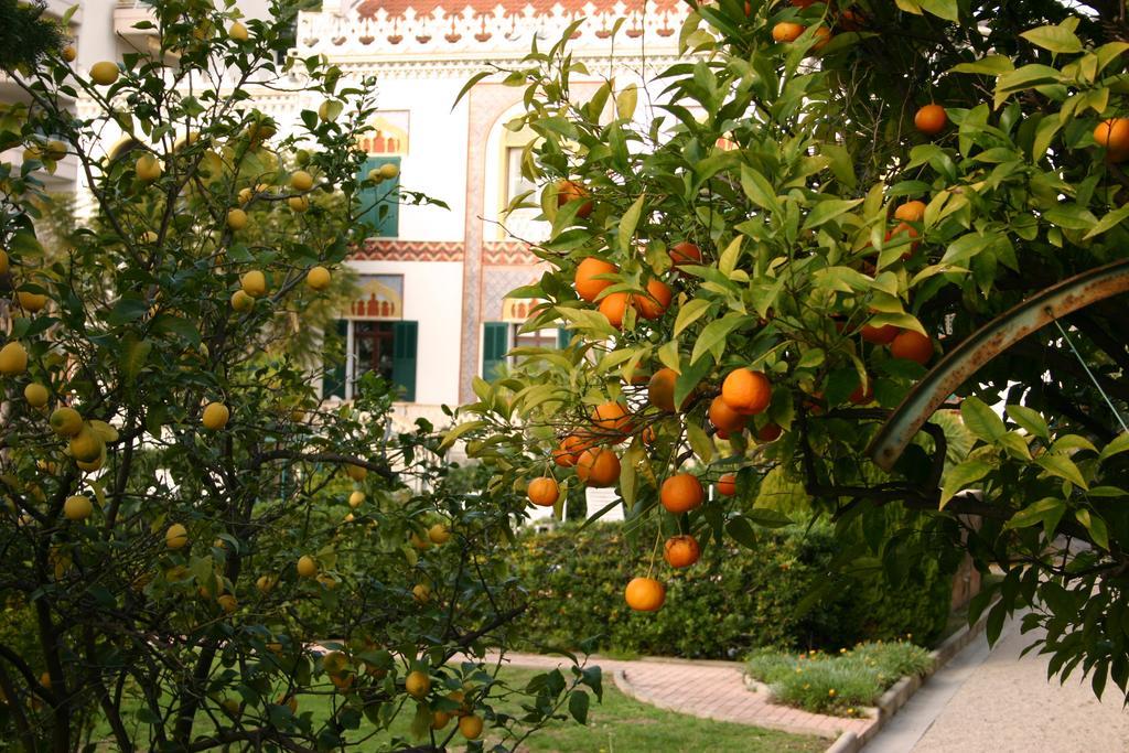 Villa Belle Rive Cannes Exterior photo